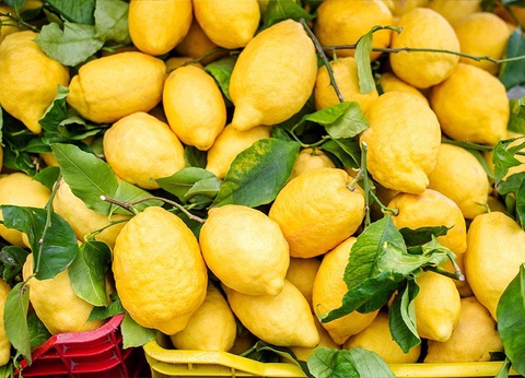 Hôtel Dolcestate 4* - 14