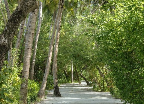 Circuit Ceylan Intimiste et extension Maldives - 16