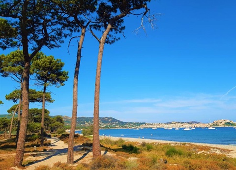 Camping Dolce Vita 3* - 10