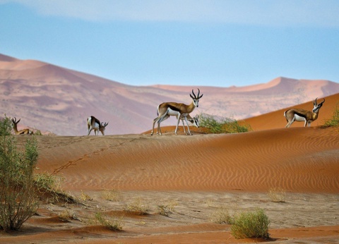 Autotour Sur les routes de Namibie **** - 9
