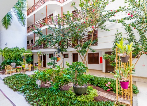 Hôtel Club Jumbo Globales Tamaimo Tropical 3* - 26