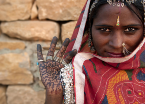 Circuit Sur les pas des Maharajas - 10