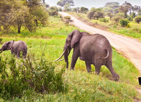 Ôclub Zen Pearl Beach Resort Zanzibar 4* + Safari 3 Nuits - 17