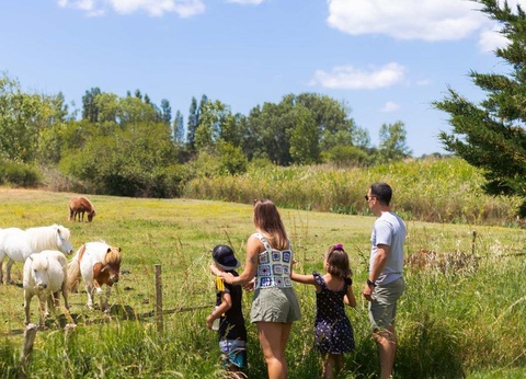 Camping Le Grand Pré, 2* - 14