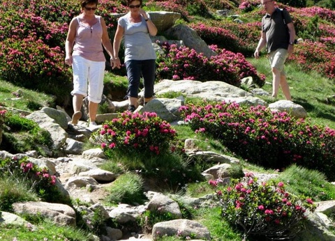 Camping La Garenne, 3* - 20