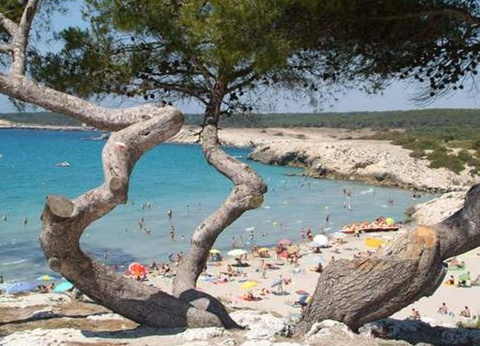 Camping Lou Cigalon, 3* - 8