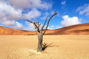 Aventure en Namibie - 2