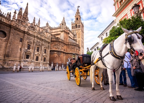 Circuit Découverte andalouse - 9