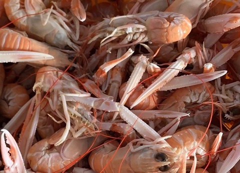 Camping Le Bois d'Amour - 22