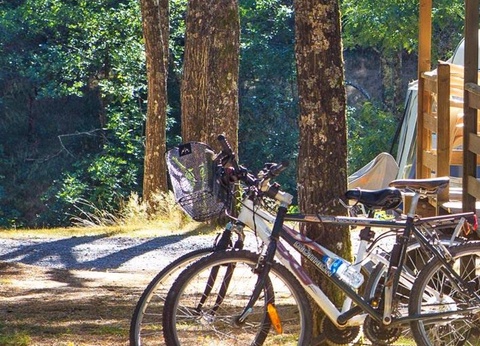 Camping Le Roubreau, 3* - 44