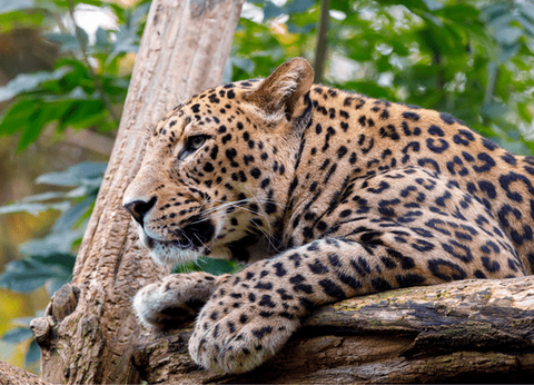 Circuit Sur la route des Epices - 7