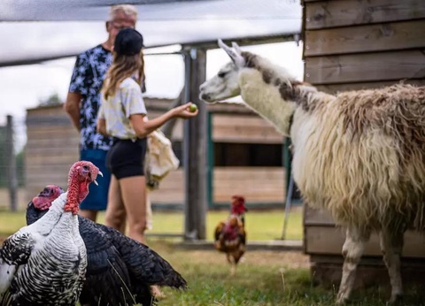 Camping Ferme Pédagogique de Prunay, 4* - 7