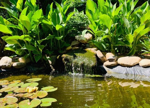 Camping Le Fief d'Anduze, 3* - 43