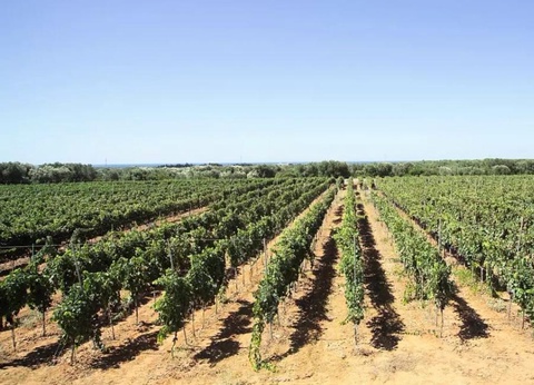 Camping La Masseria, 4* - 41