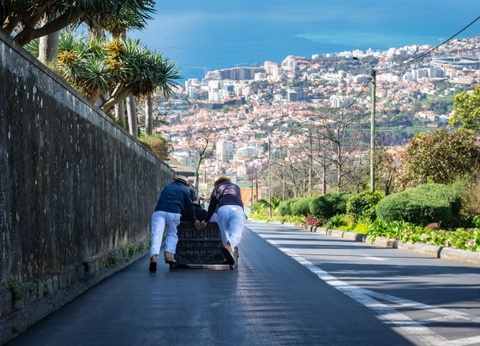 Circuit Douceurs de Madère **** - 21