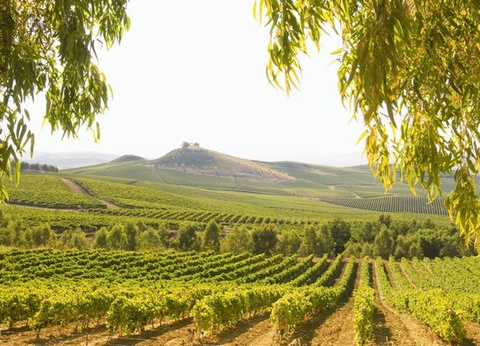 Hôtel Mangia's Favignana Resort 4* - 14