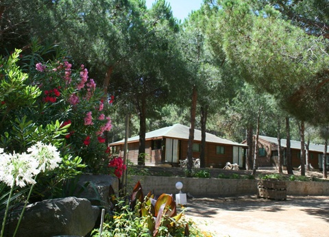 Résidence Tramariccia 2* ( sans transport ) - 2