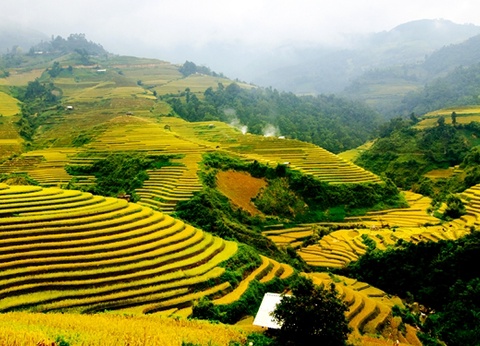 Splendeurs du Vietnam 12J/9N - 2025 - 15