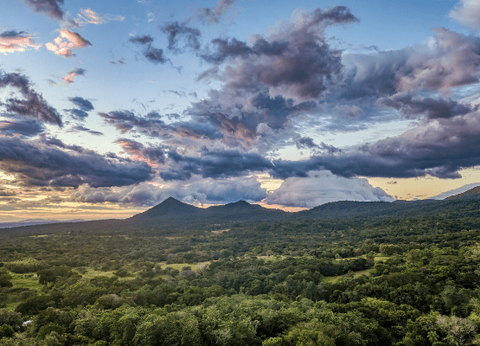 Circuit Joyaux Verts d'Amérique Centrale : du Costa Rica au Panama - 16