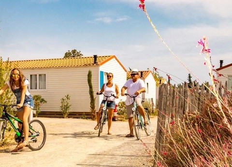 Camping Le Mas des Lavandes, 4* - 49