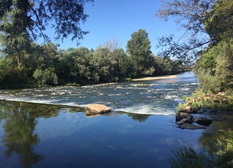 Camping Les Bords de Loue, 3* - 30