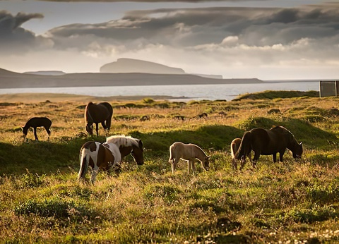 Autotour Merveilles du nord islandais 8 jours / 7 nuits - 14