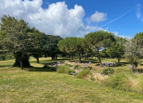 Damona Lodges, 3* - 18