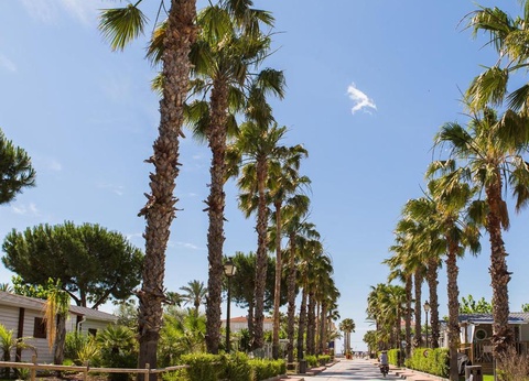 Camping Estival Vendrell Platja, 4* - 35