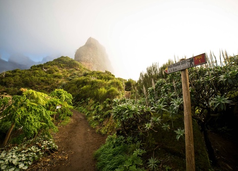 Circuit Ode verte à Madère Randonnées au fil des levadas et des forêts mystiques **** - 2