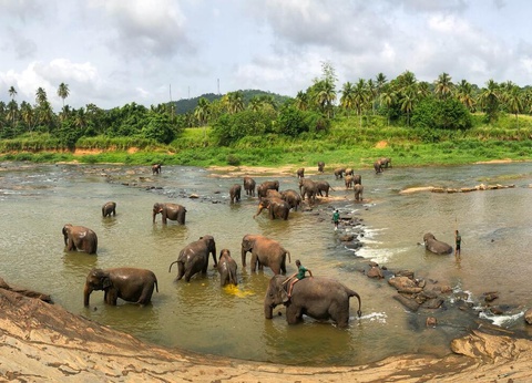 Circuit Evasion au Sri Lanka - 8