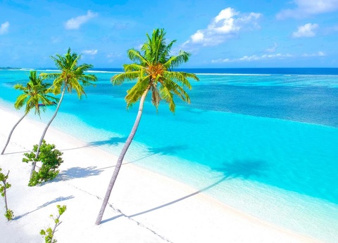 Ôclub Experience Occidental Caribe 4* - 11