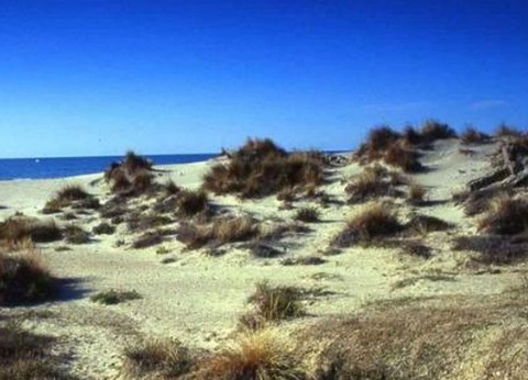 Camping le Domaine de Gajan, 4* - 27