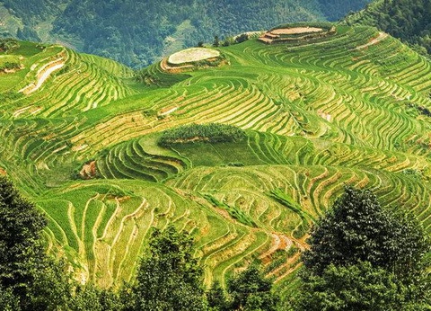Chine Intimiste + extension Montagnes Jaunes et Hangzhou - 20