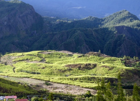 Circuit Couleurs de La Réunion - 18