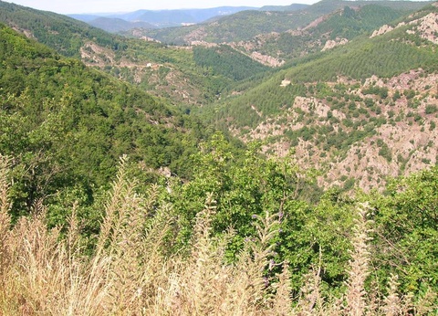 Camping La Dourbie, 4* - 25