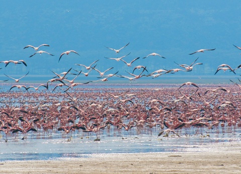 Circuit Le Kenya Autrement et safaris - 7