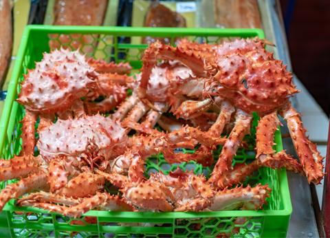 Circuit Découverte de Chiloé et Aventure Chilienne du Nord au Sud - 37