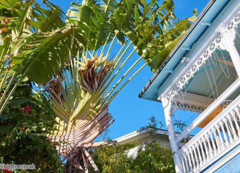 2025 - Circuit Cap sur le soleil de Floride Vols flexi - 50 personnes maximum - 4