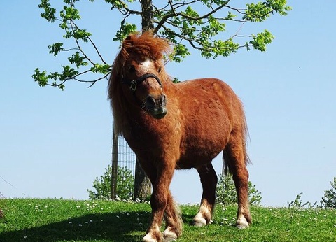 Campanile Val de France 3* : Hôtel + Entrées aux parcs - 10