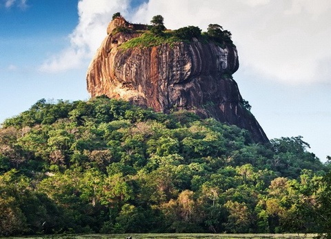 Circuit privé Ceylan buissonnier - 8