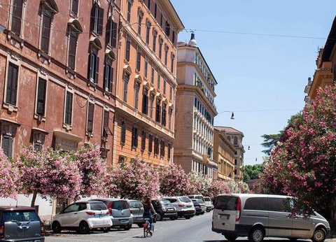 Camping Roma Capitol, 4* - 165