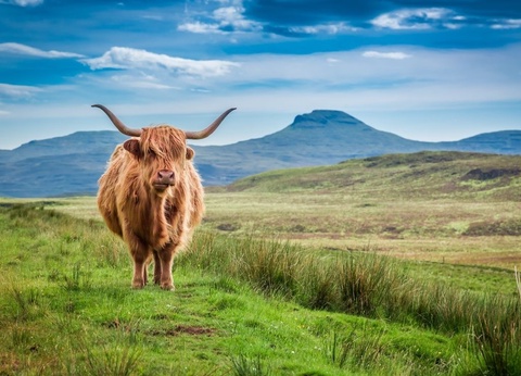 Circuit Vision Celtique - 5