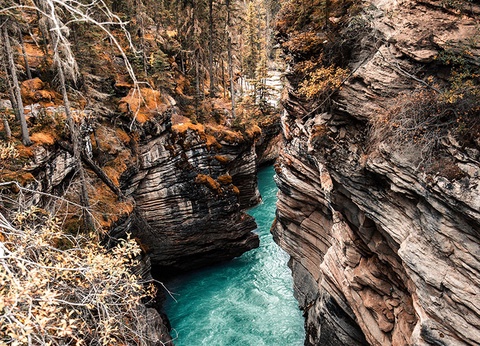 Canada de l'Ouest, les Rocheuses - 9