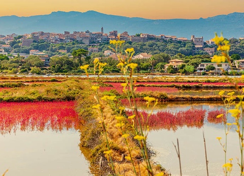 Circuit Autotour Corsica Bella au départ de Figari - 5