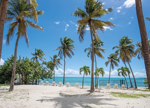 Hôtel Arawak Beach Resort 4* - 12