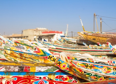 Circuit Les Oasis du Sénégal en privatif *** - 2