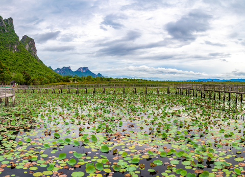 Hôtel Pranburi, MyClub Dolphin Bay Resort 4* - 30