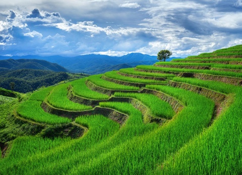 Escapade Thaïlandaise - Combiné de Bangkok à Chiang Mai et finissant à Khao Lak - 30