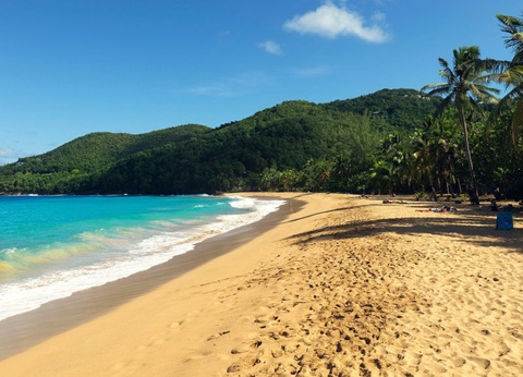 Habitation Grande Anse 3* avec Location de voiture - 13