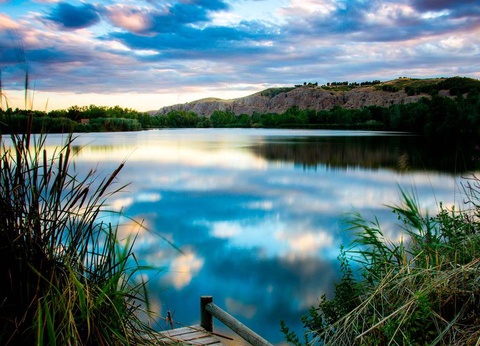 Bungalow familial (2 adultes + 2 enfants) avec entrées au Parque Warner - 8